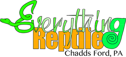 Everything Reptile